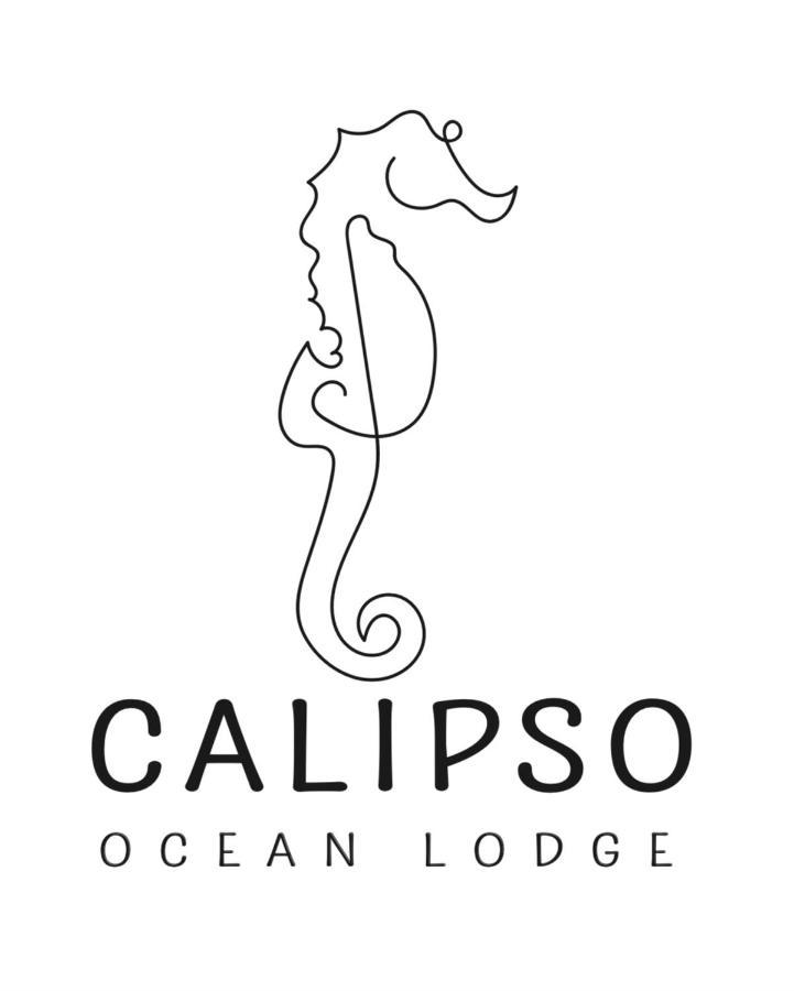 Calipso Ocean Lodge- Avellana Beach Hotel Playa Avellana Extérieur photo