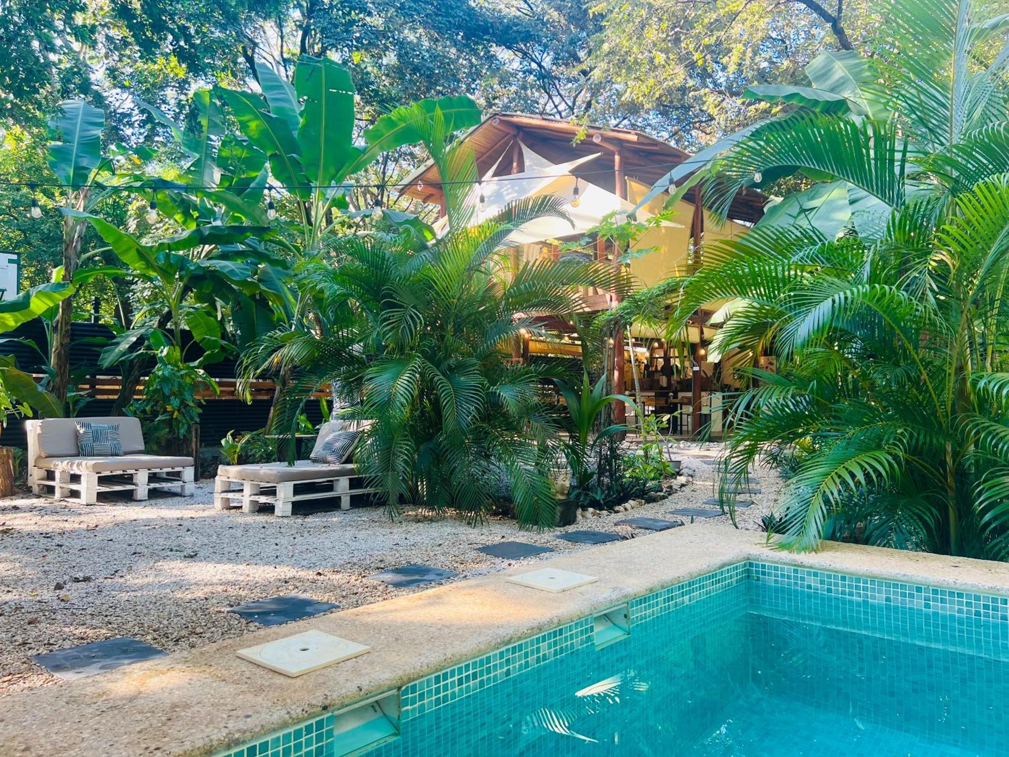 Calipso Ocean Lodge- Avellana Beach Hotel Playa Avellana Extérieur photo