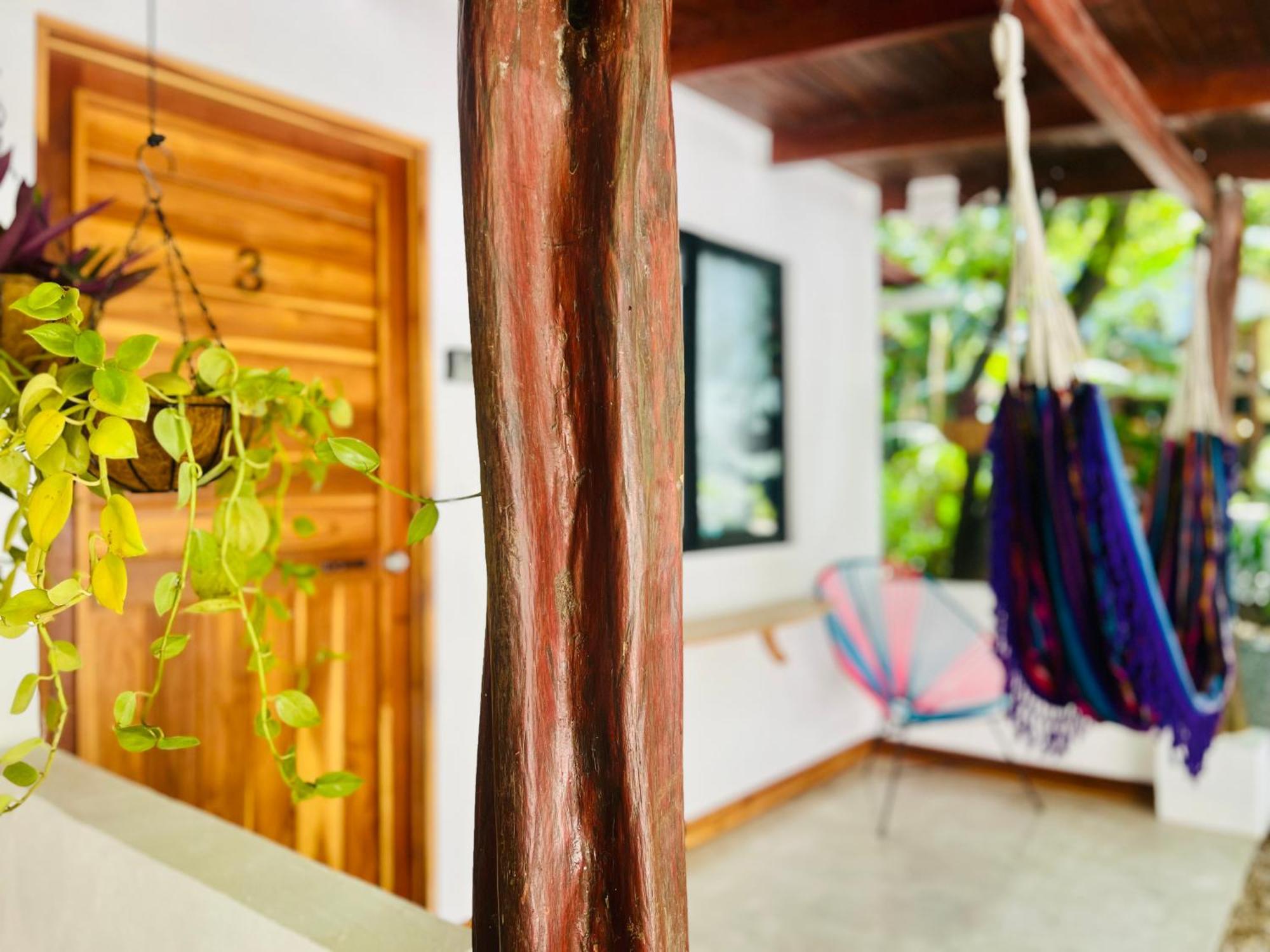 Calipso Ocean Lodge- Avellana Beach Hotel Playa Avellana Extérieur photo